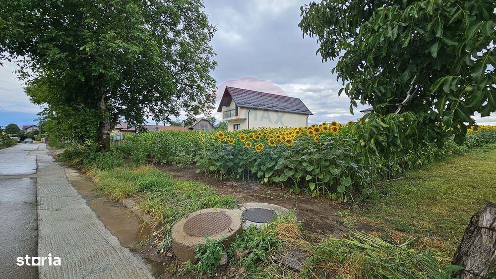 Teren intravilan 2600 mp de vânzare, Ipotești- Lisaura, Suceava