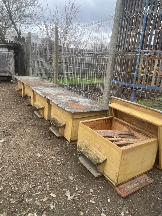 Vand stupi fara albine pe bucata sau cu totul