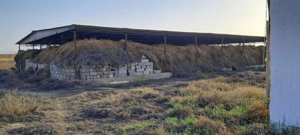 Molxona bino va inshootlari