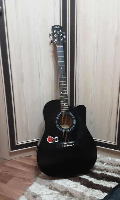 Гитара, чёрная с чихлом