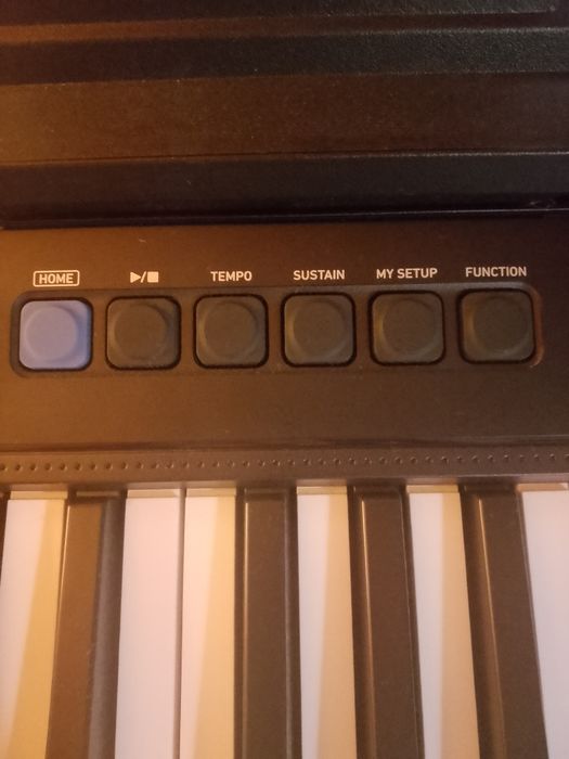 Casio пиано-  Casiotone CT s300