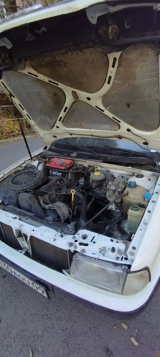 Ауди 2.0. Моник.