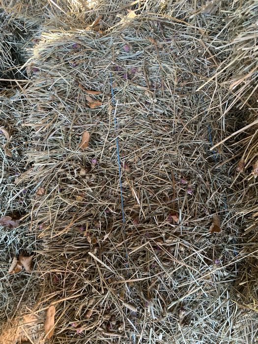 Vand baloti: lucerla, fan, otava si paie