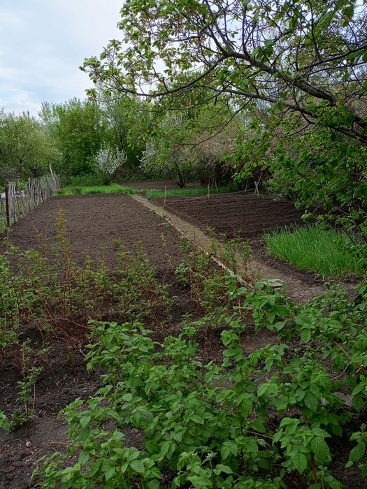 Продам дачу в кооперативе АЗФ7