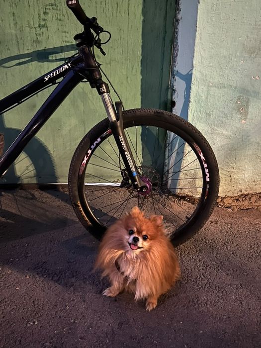 Продам speedone cruiser (giant.cannondale.scott.centurion.specialized.