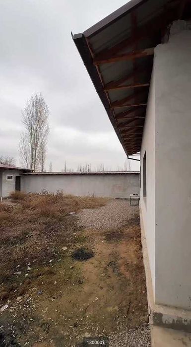 Продаётся ферма в Янгиюле 22 и 30 и 11 соток