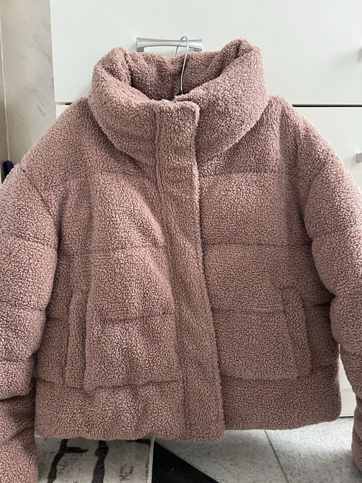 Teddy яке пепел от рози