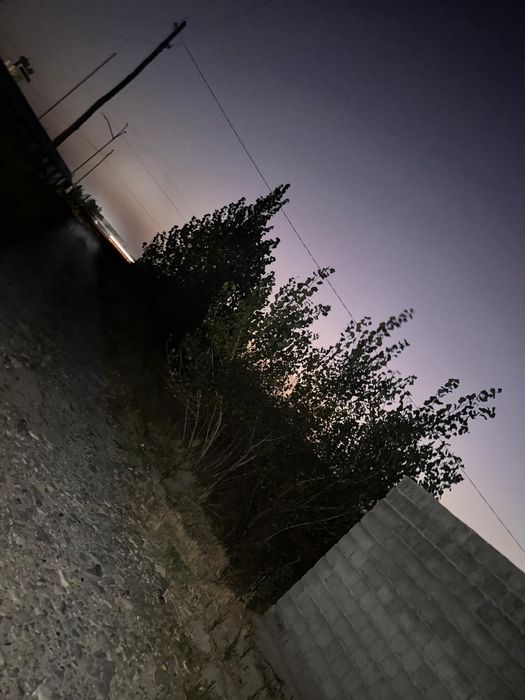 Srochne sotiladi dakumenti joyida