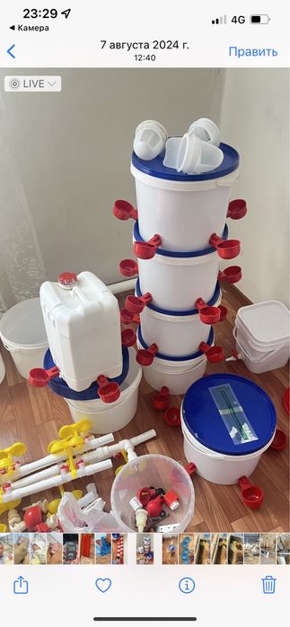 Құстарга су жем беретін ыдыс