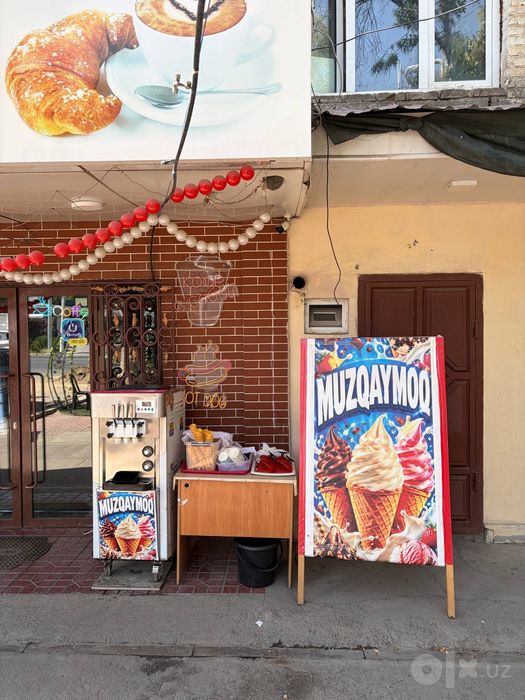 BIN ZHILE марожений аппарат