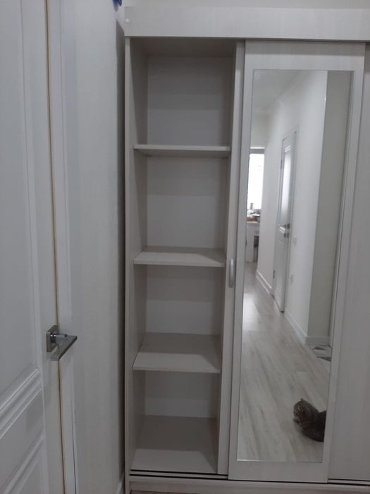 Шкаф -купе   с зеркалом