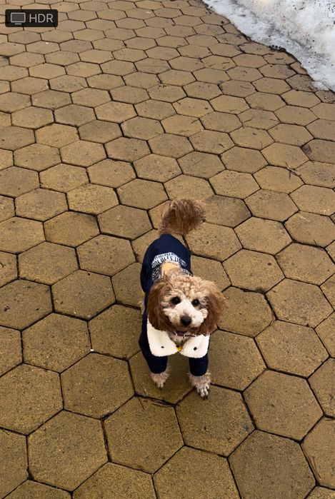 Пуховик на 3-3,5 кг