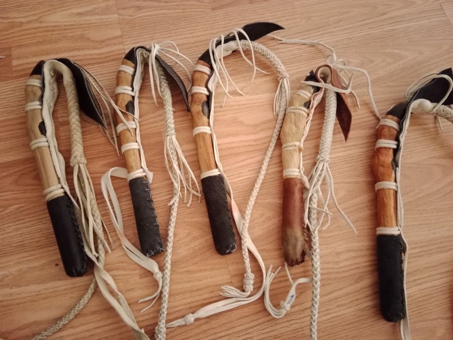 Қамшы ,камши,қамшылар