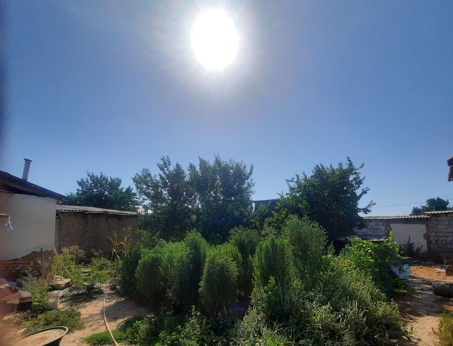 Срочно ховли  Чирчик шахрида сотилади