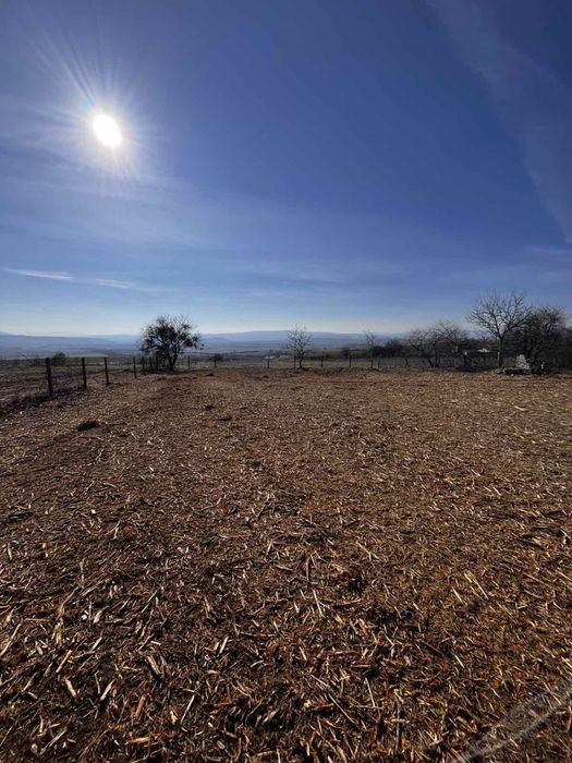 Почистване на Дворове,Пасища,Имоти и Терени с Горски Мулчер