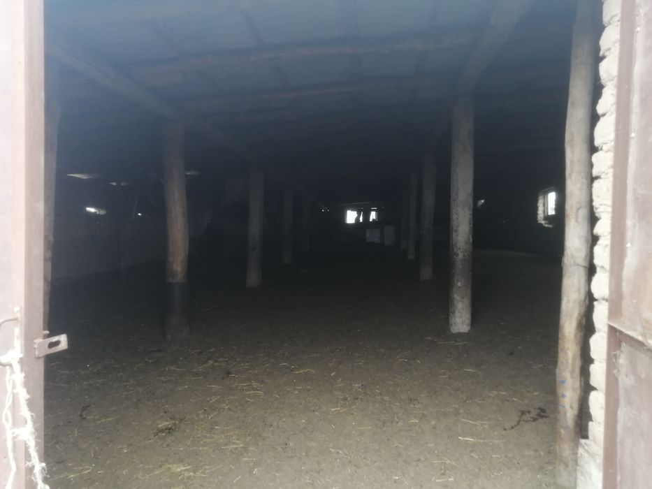 Продается Фазенда