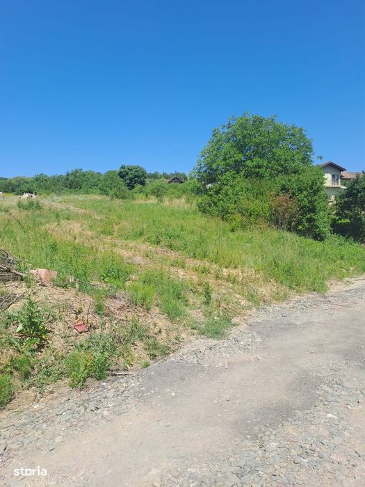 Teren intravilan 10 ari - strada Merilor