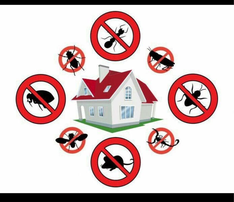 Дезинфекция от5000т..Без запоха.