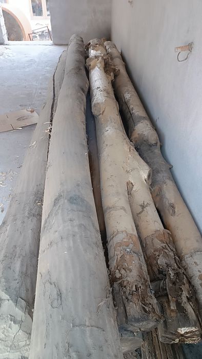 Tosinlar bor narxini kelishamiz