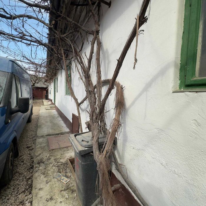 Casa de vânzare 150mp, teren 1300mp, Dumbrăvița, Brașov