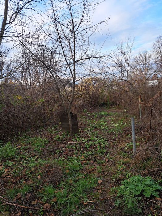 Casa de vanzare Gura Ocnitei