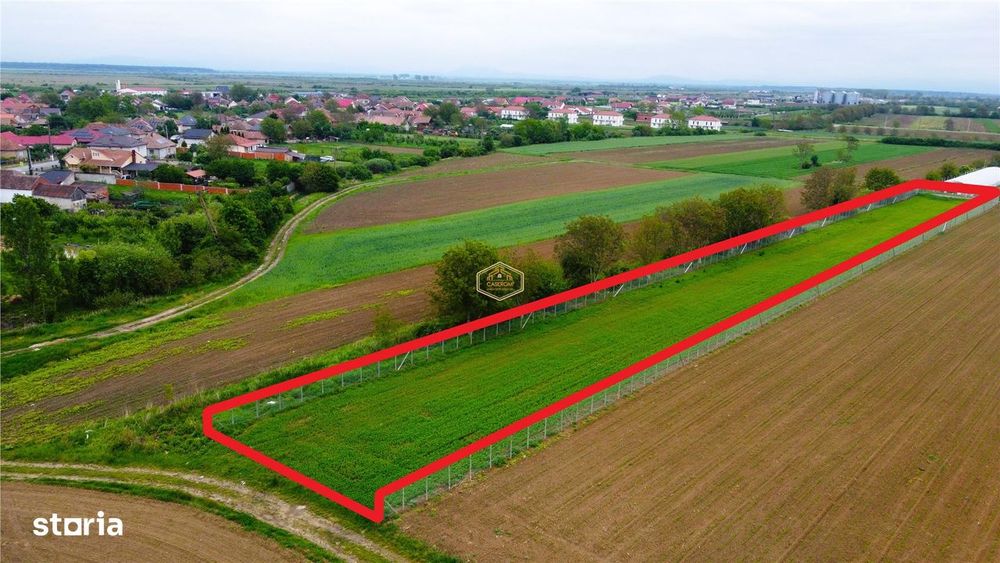 Teren 3.600 m² in Odoreu | 7 km de Satu Mare | 160 m de Principala