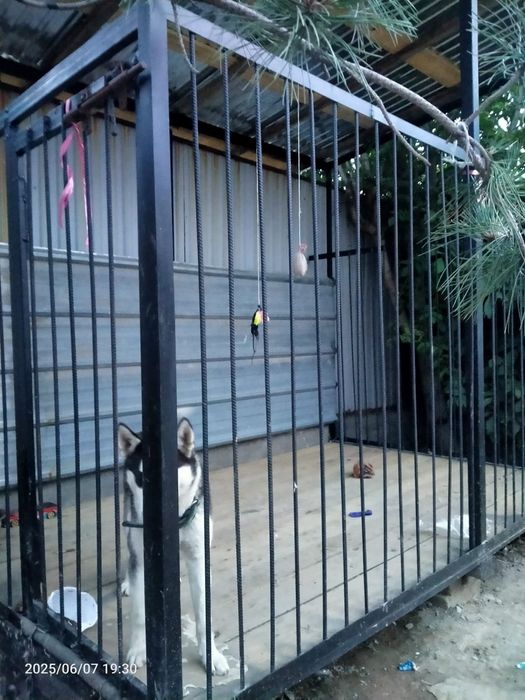 Вольер Новый для большой собаки !