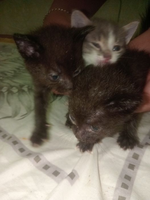 Мангистау облысы Жанаозен каласы