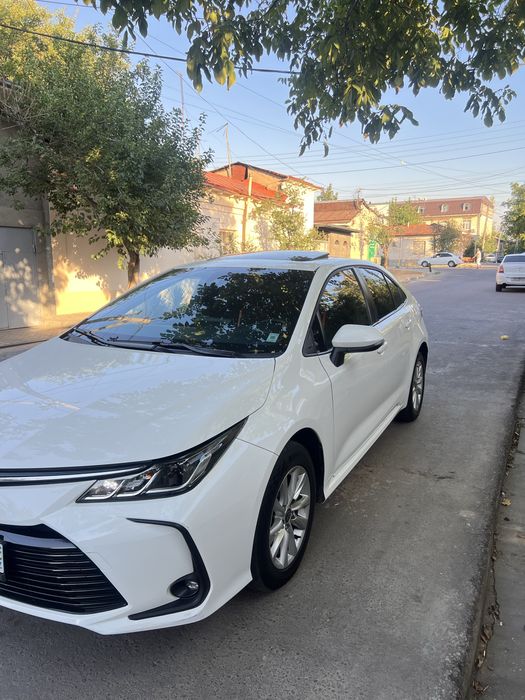 Toyota carolla 2024 yil