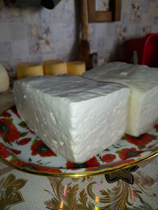 Vînd telemea de oaie de Sibiu maturată din lulie august septembrie