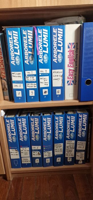 Colectia completa arborele lumii