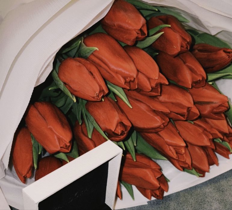 Тюльпаны 25 шт.