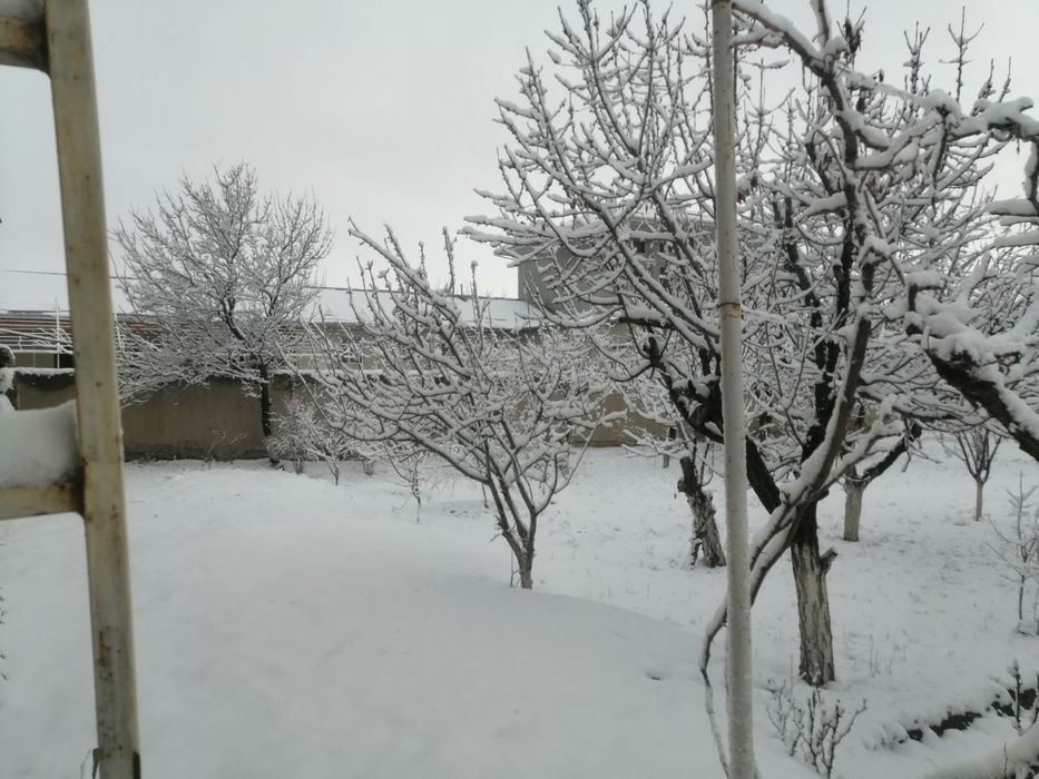 6 сутук, дан 8 сутукгача участка сотилади ,срочно..