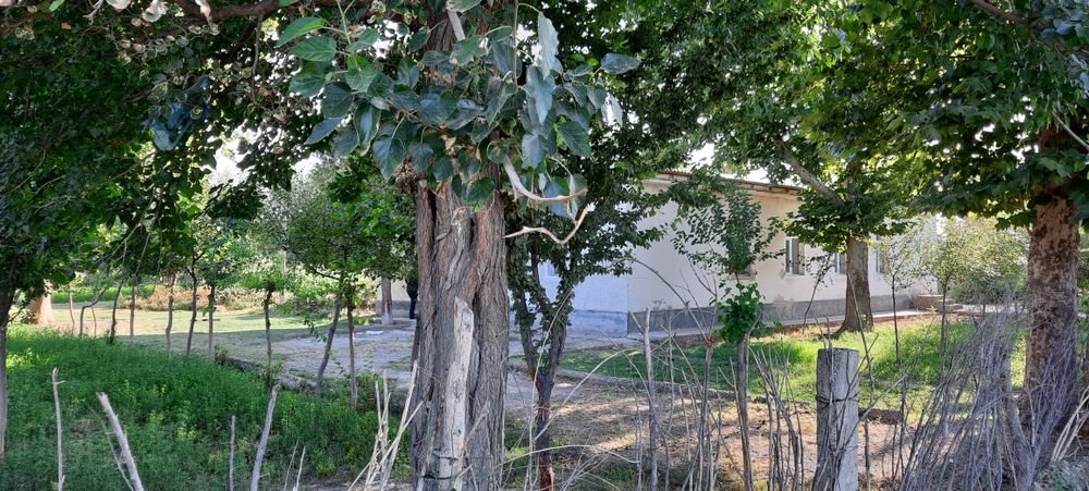 Hovosobod 24sotix yer sotiladi tayyor binosi bilan