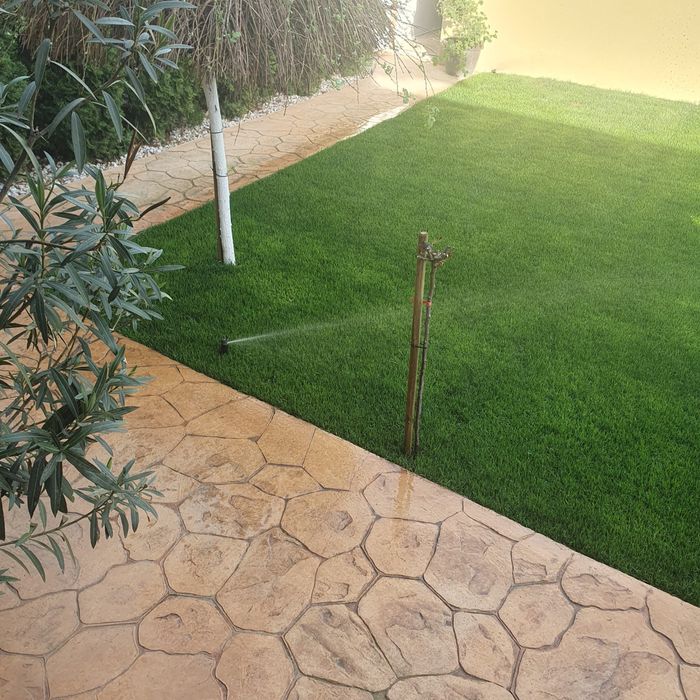 Rulou gazon premium