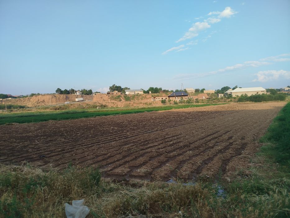 Tomorqa sotiladi