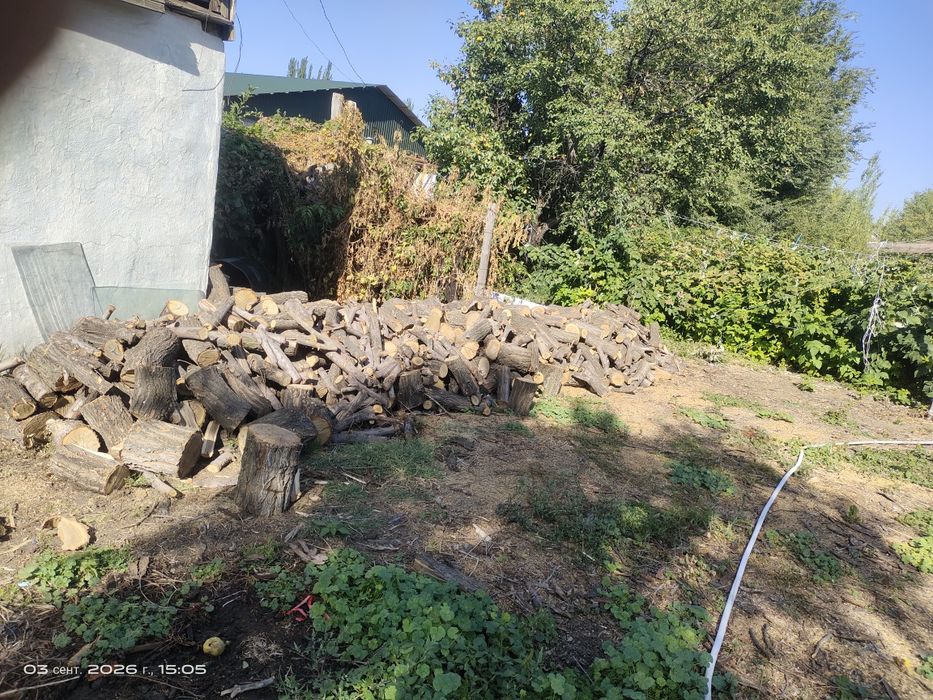 Дрова карагач чурками