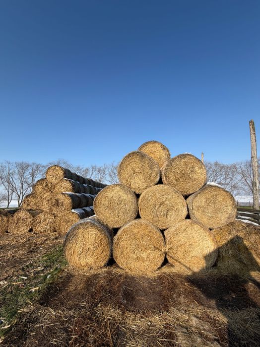 Baloți din paie de triticale