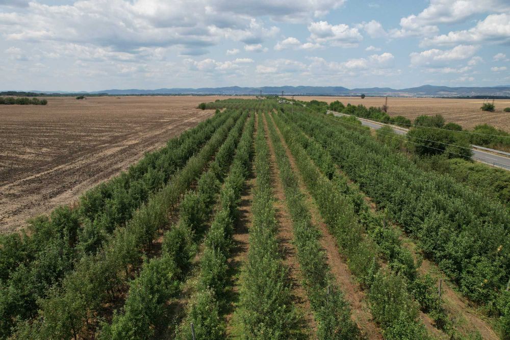 Продава се Земеделски имот в с. Могила, Област Стара Загора -  кв.м за 6 €/дка - Снимка #2