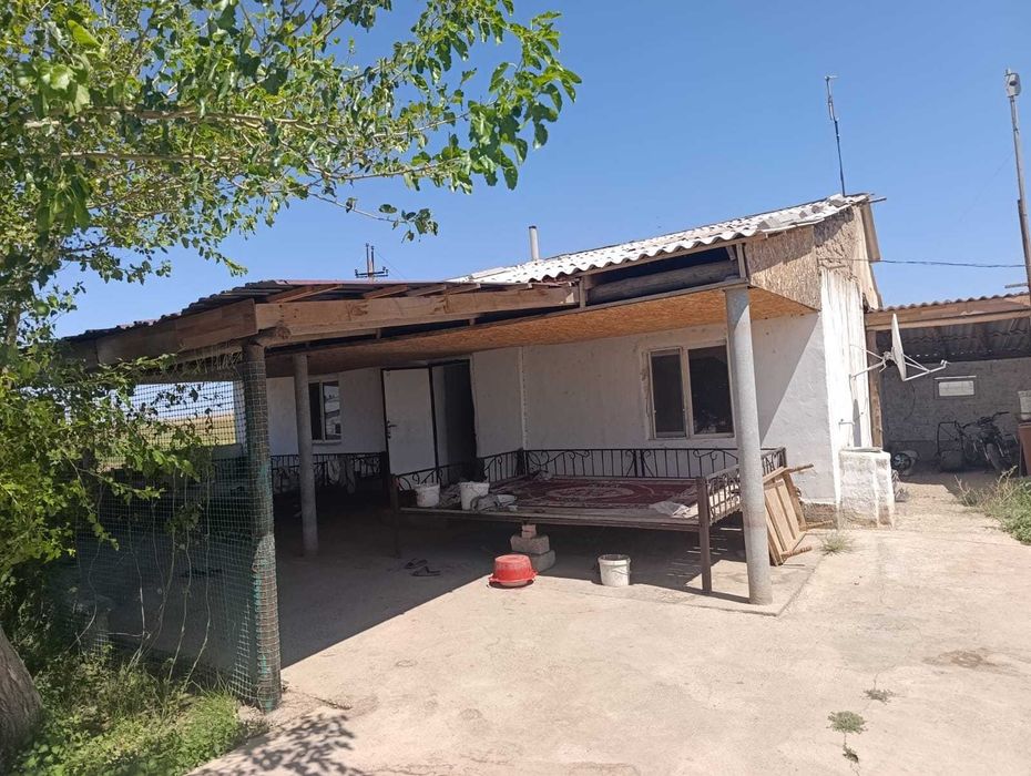 Продается кошара с пастбищами