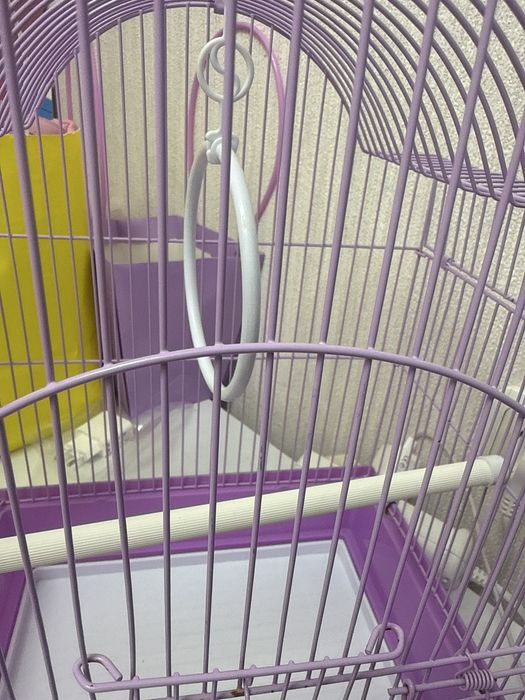 Клетка для попугая