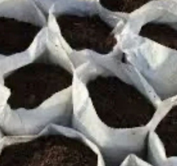 Чернозём. В мешках