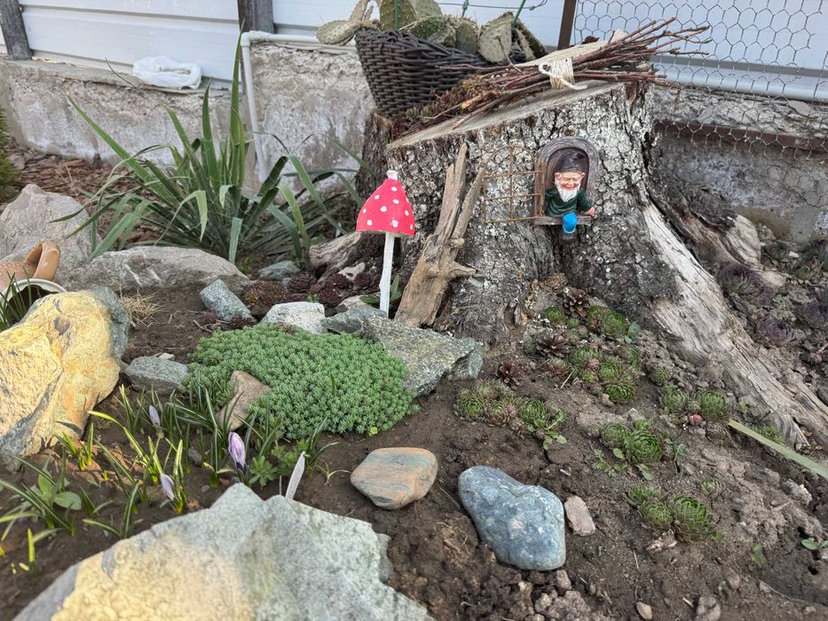 Уличные садовые растения