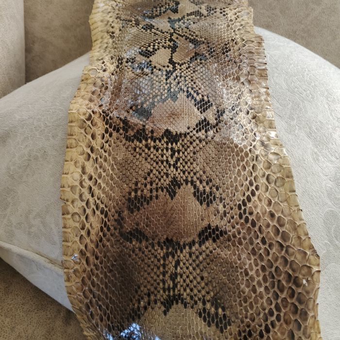 Огромна кожа от питон