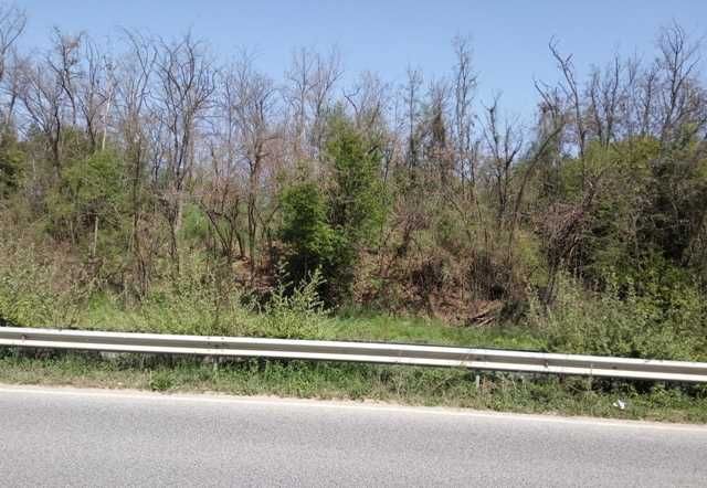 Продава се Парцел в Велико Търново, Промишлена зона - Запад - 700 кв.м за 37 €/кв.м - Снимка #6