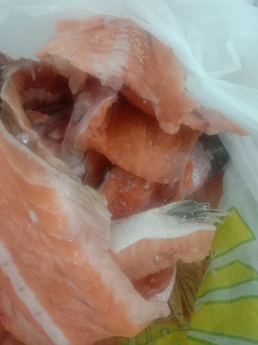 Рыба суп наборы из  семги