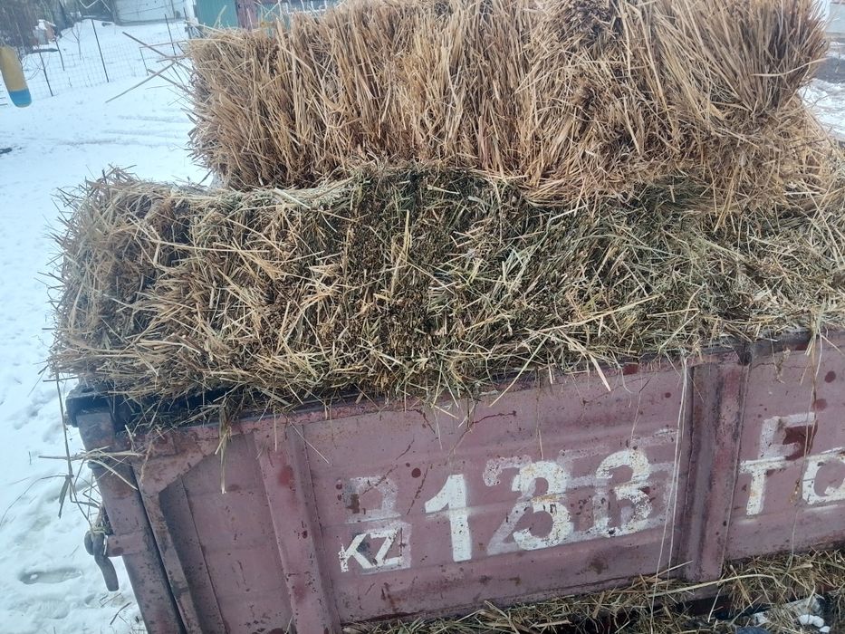 Шоп сено разнотравие