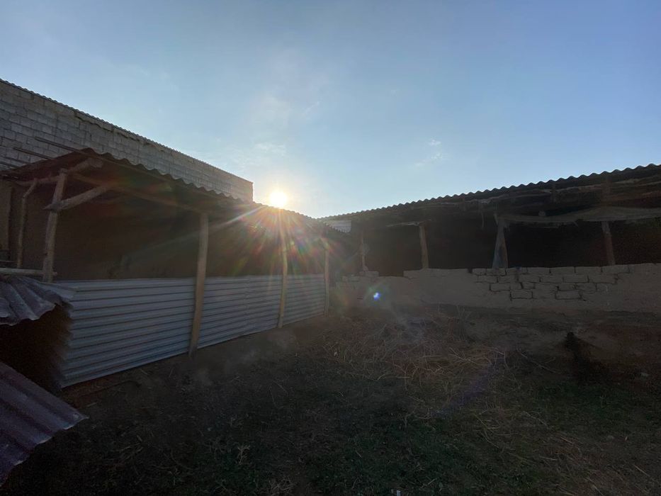 Samarqand viloyati Pastdargʻom tumani Safhoz qishloği