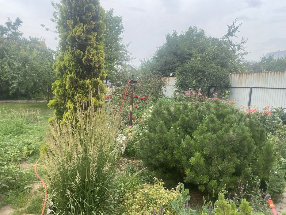 Шикарный дом в бурундае