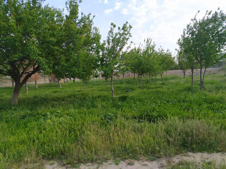 Hovli uy sotiladi tez kunda